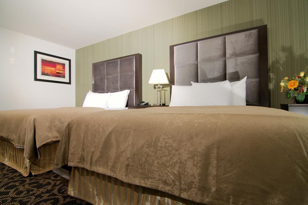 Paradise Inn And Suites 레드워터 객실 사진